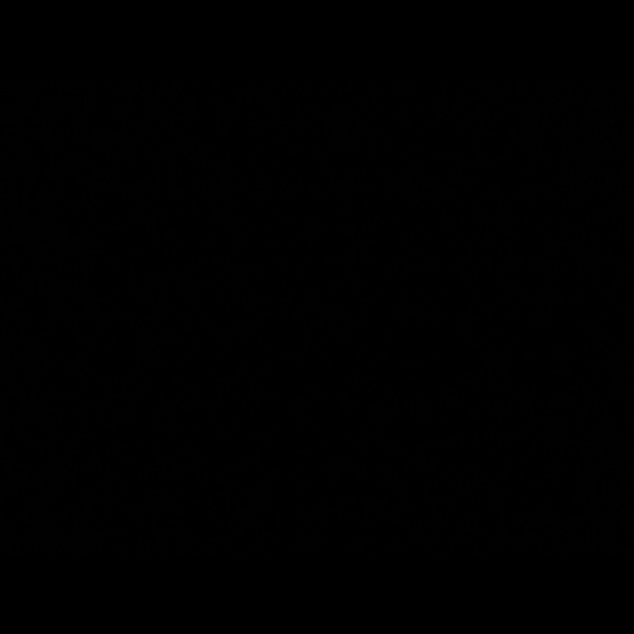 Meet your Posher, Silas - Picture 1 of 1